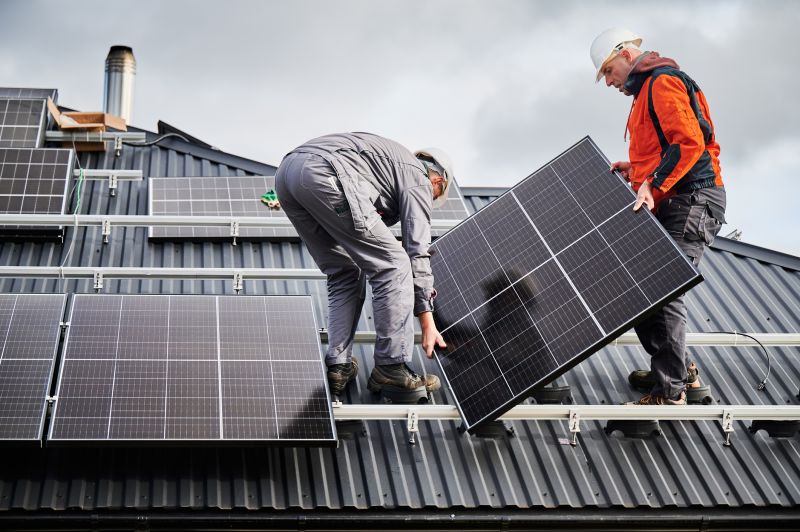 Expert Solar Technicians